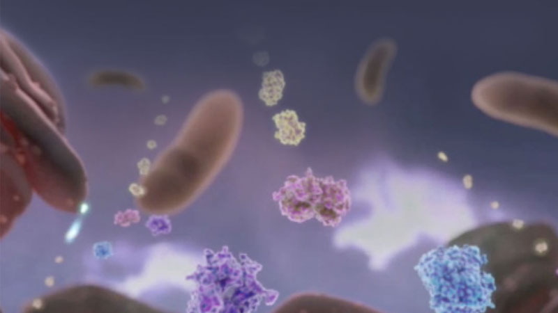 Ask the Experts webinar