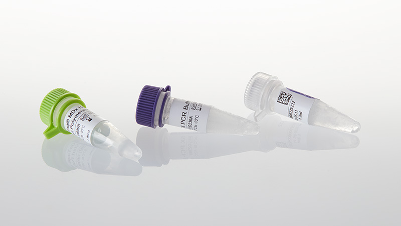 D2301_5X-PCR-Buffer-A_3