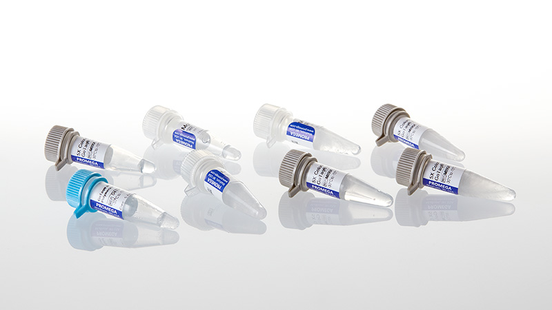 GoTaq MDx DNA Polymerase Glycerol-Free 500u