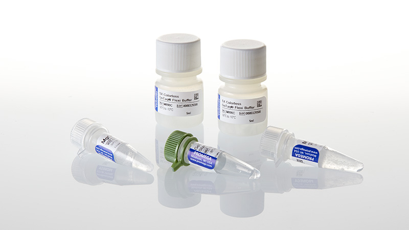 D6101_GoTaq--MDx-HS-Taq-Polymrse--50u-3aul-1000u_3