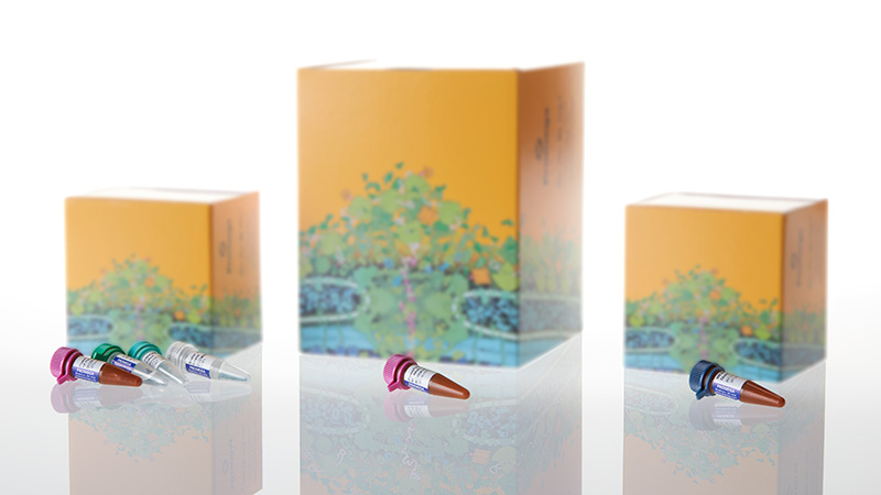 DC2720_PowerPlex--Fusion-6C-System--200-400rxn