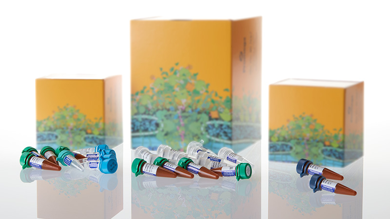 DC6720_PowerPlex--ESX-17-System--400rxn_3