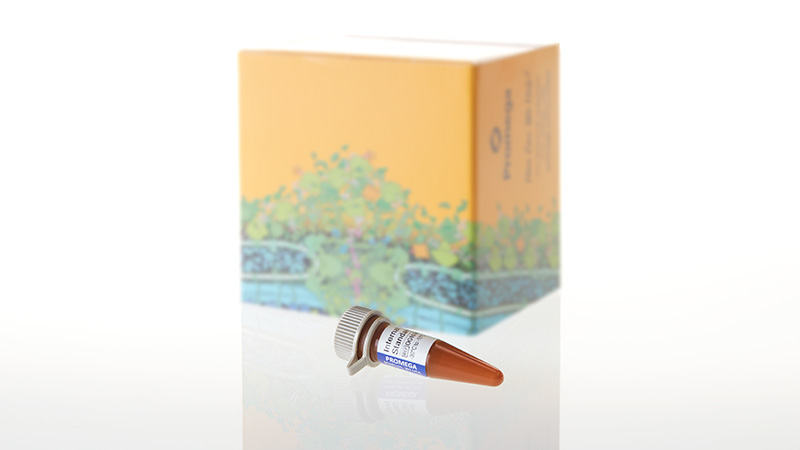 DG1071_Internal-Lane-Standard-600--150ul_3