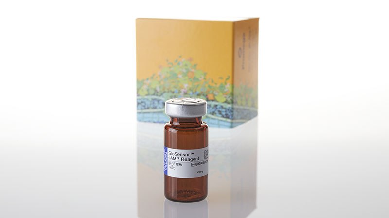 E1290_Glosensor-camp-reagent_3