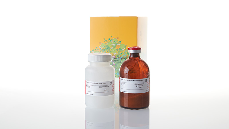 E2520_Steady-Glo--Luciferase-Assay-System_3