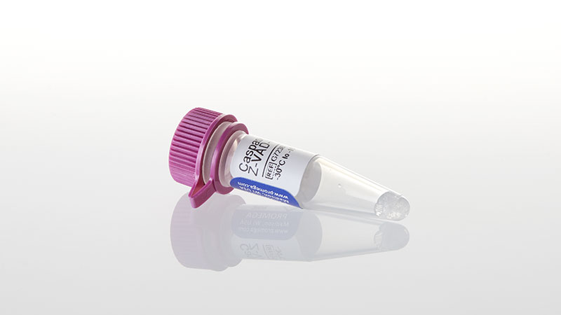 G7231_Caspase-Inhibitor-Z-VAD-FMK-20mM--50ul_3