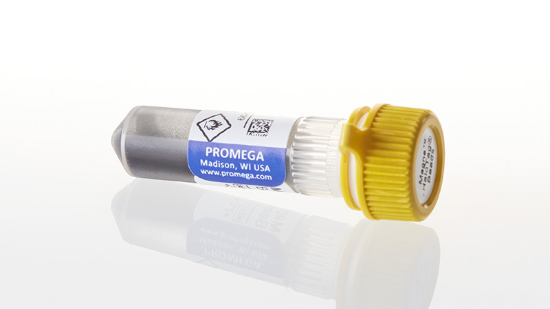 G7281_Magne--HaloTag--Beads--20--Slurry_3