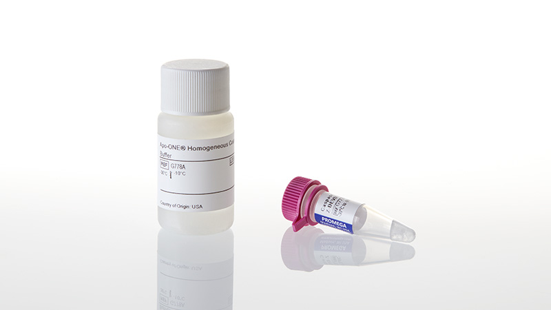 G7790_Apo-ONE--Homogeneous-Caspase--3-3a7-Assay_3