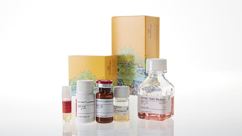 JA2151_CD40-Bioassay_3