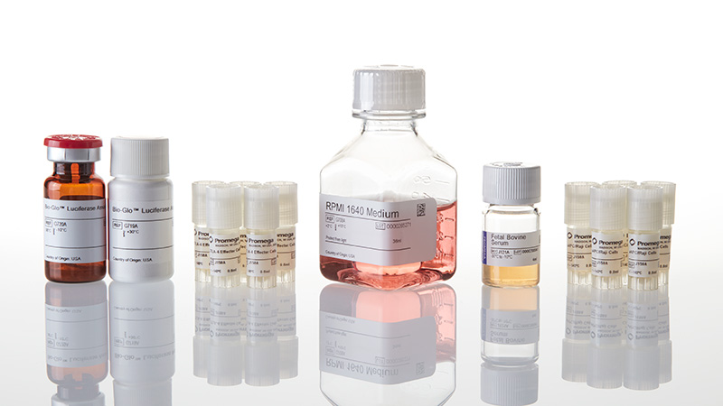 JA3005_CTLA-4-Blockade-Bioassay-5X_3