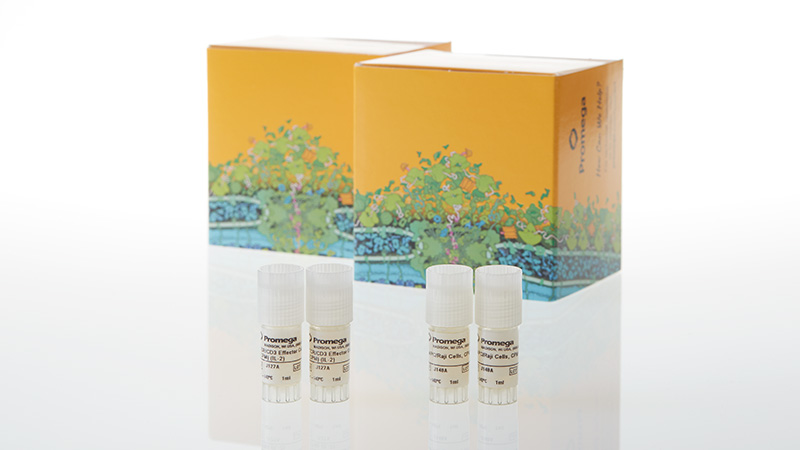 JA7072_CD28-Blockade-Bioassay--Propagation-Model_3