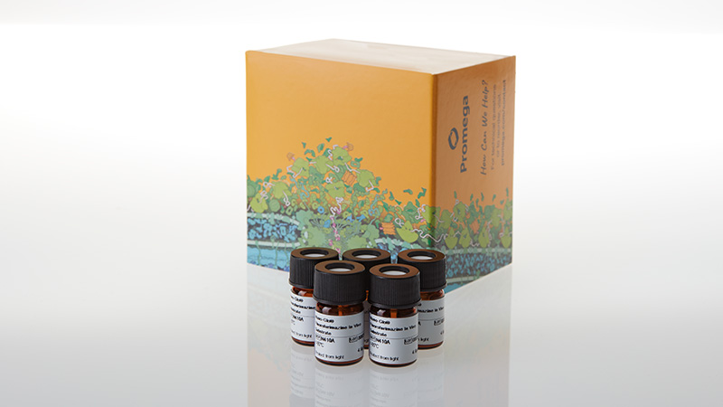 n4110-nano-glo-fluorofurimazine-invivo-substrate-5-each-3