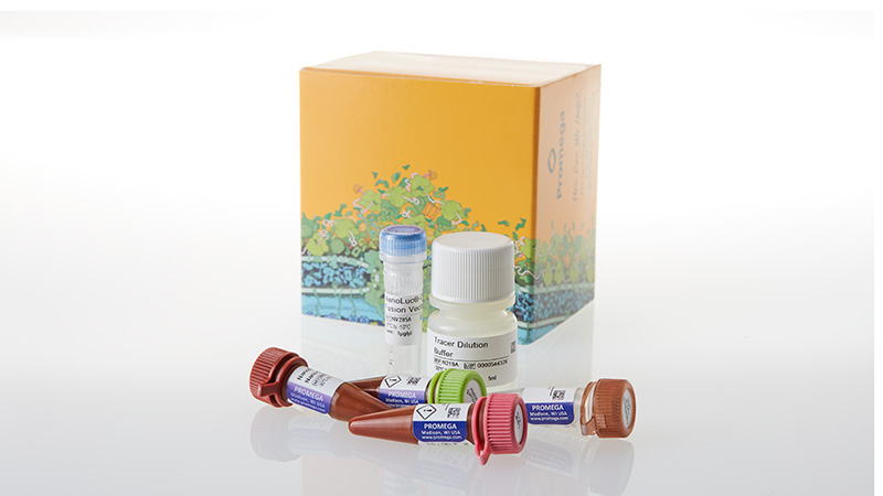 nf1001-nanobret-te-intracellular-kinase-assay-3