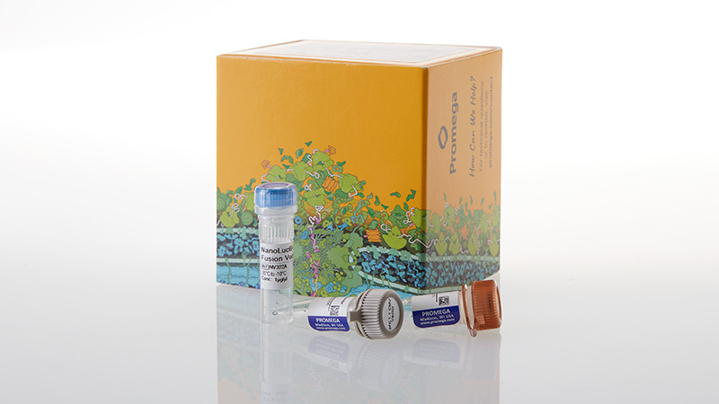 NanoBRET™ TE Selectivity DNA Controls