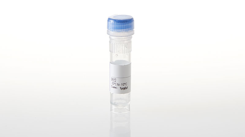 NV3941_NanoLuc--PIK3CA-E545K- Fusion Vector- 20ug