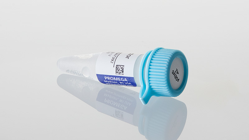 P2161_pGEM--4Z-Vector--20ug_3