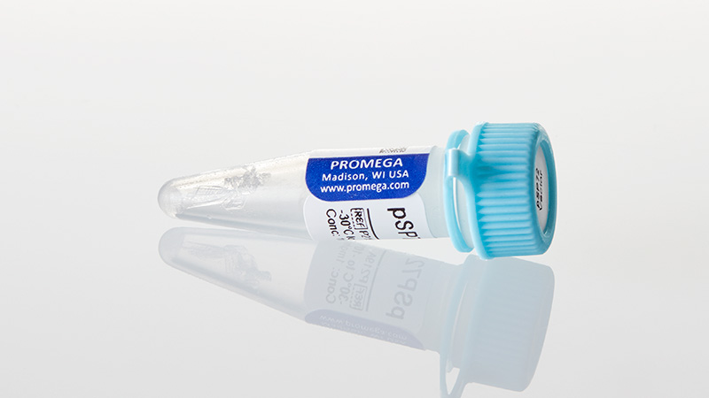 P2191_pSP72-Vector--20ug_3