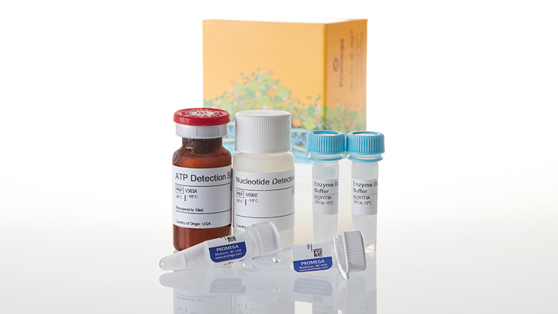 V6962_UDP-Glo-Glycosyltransferase Assay