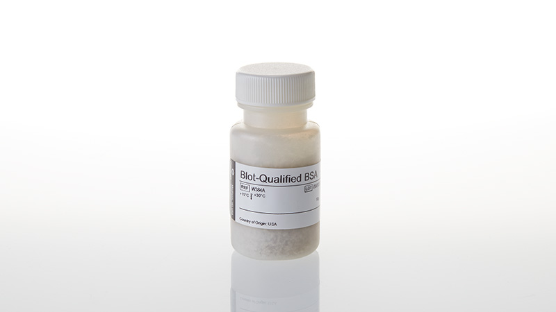 W3841 Promega Blot-Qualified BSA, 10g