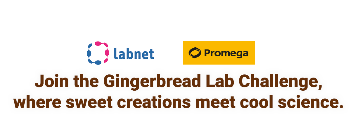 gingerbread-header-labnet