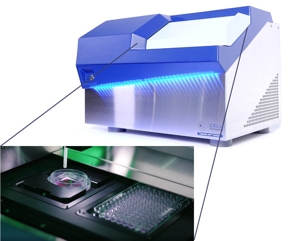 cellraft air system