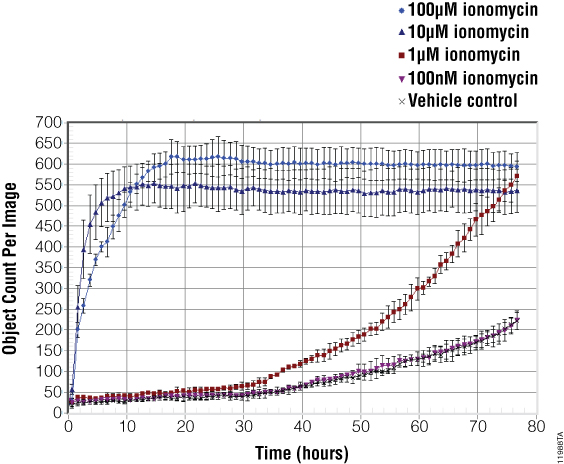 Object counting algorithms were used to quantify the dead cells present in each well