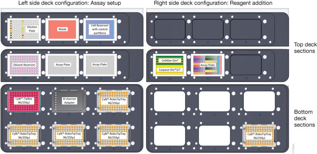 Plate layouts and cell reservoir configuration.