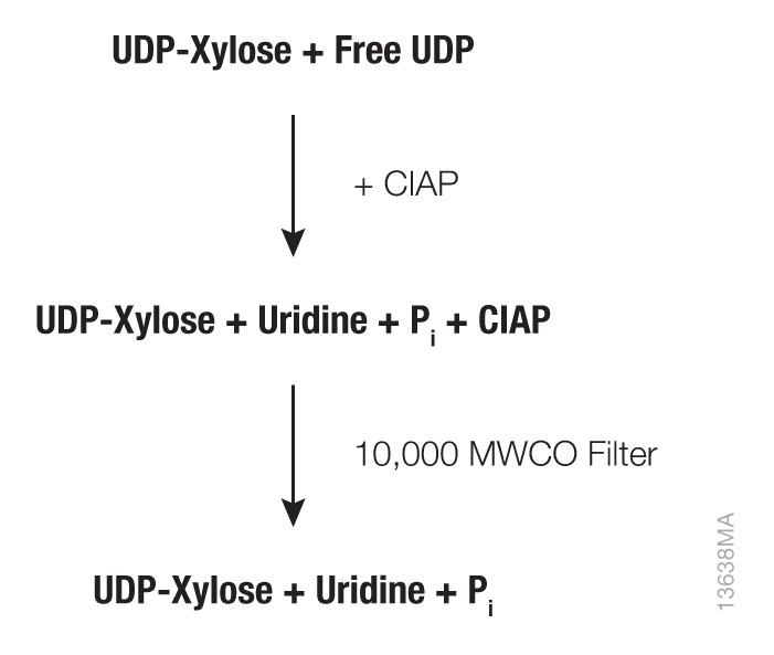 Sugar-nucleotide preparation workflow.