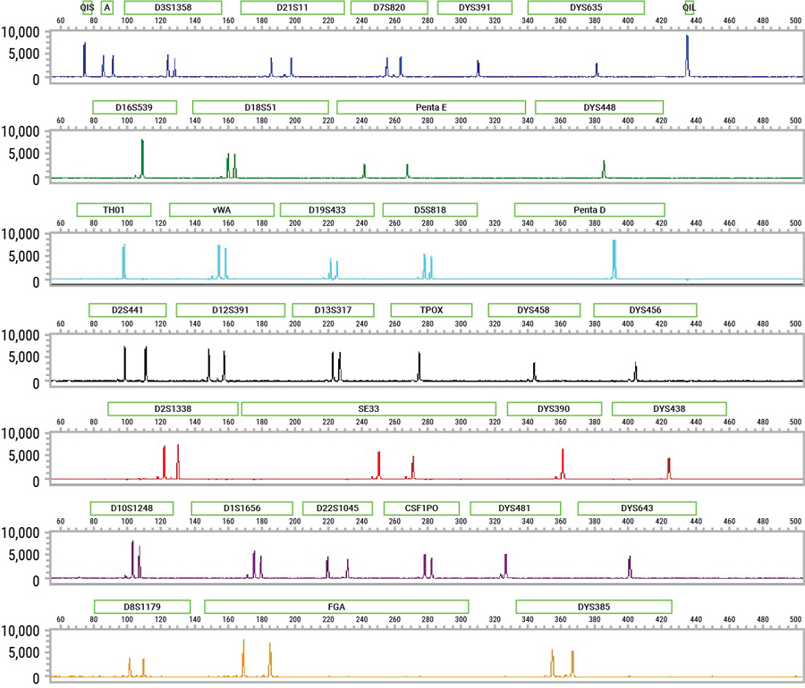 Electropherogram of buccal cells direct-amplified using the PowerPlex® 35GY System.