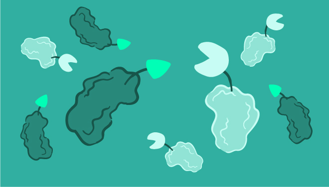 proteindetsubpage-detection-three-web